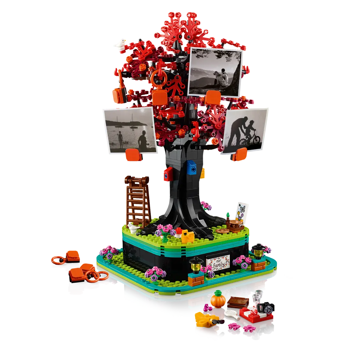 Family Tree (21346)