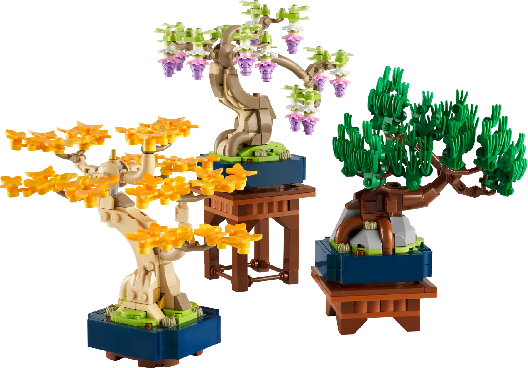 Mini Bonsai Trees (10373)