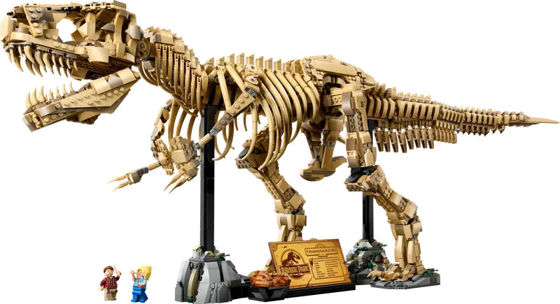 Dinosaur Fossils: Tyrannosaurus rex (76968)